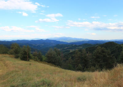 ot visoko - rodopa (1) - stoykominchev