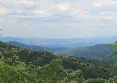 ot visoko - rodopa (2) - stoykominchev