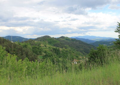 Rodopa planina - stoykominchev
